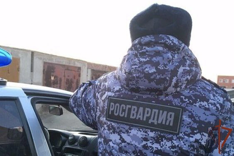 Сотрудники Росгвардии задержали нетрезвых водителей в Омской и Кемеровской областях