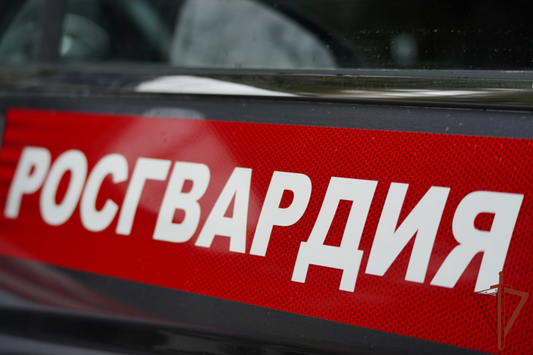 Росгвардейцы нашли потерявшуюся девочку на юго-западе Москвы (видео)