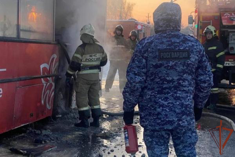 Росгвардейцы помогли потушить загоревшийся автобус в Липецкой области
