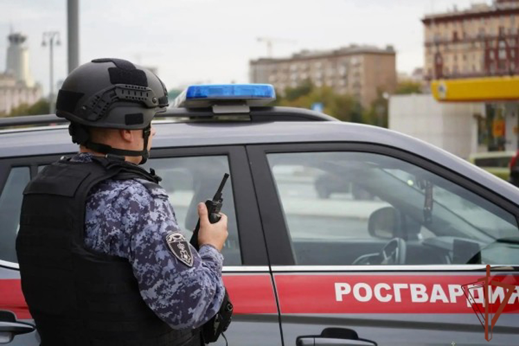 В Москве росгвардейцы помогли потерявшемуся ребёнку вернуться домой (видео)