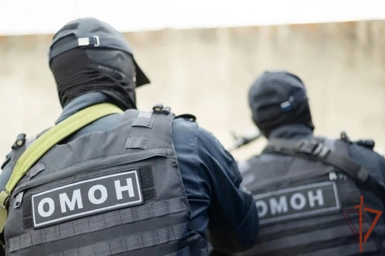 В Иркутске при содействии Росгвардии задержаны подозреваемые в мошенничестве с земельными участками (видео)