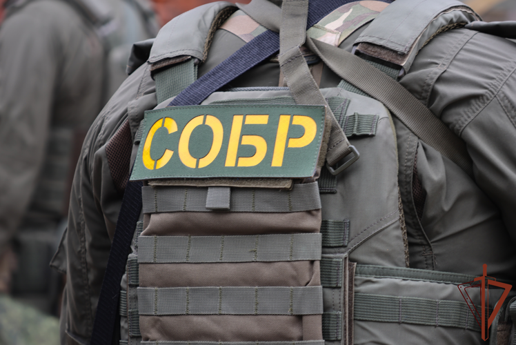 Спецназ Росгвардии оказал силовую поддержку при проведении миграционных рейдов в Сибири (видео)