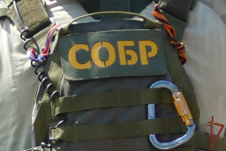 При силовой поддержке СОБР Росгвардии в Новосибирске задержаны аферисты, обманувшие вдову участника СВО на 14,3 млн рублей (видео)
