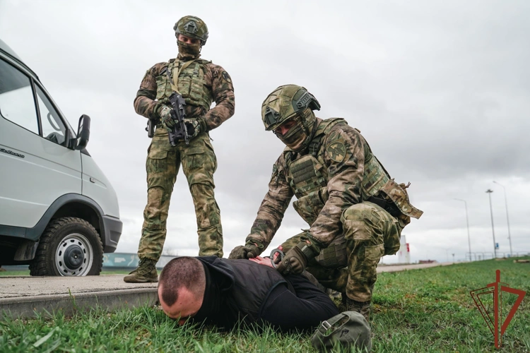 В Самарской области при содействии спецназа Росгвардии задержаны обвиняемые в участии в экстремистской деятельности
