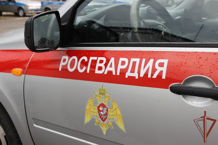 В Дагестане росгвардейцы пресекли нарушение общественного порядка на охраняемом объекте