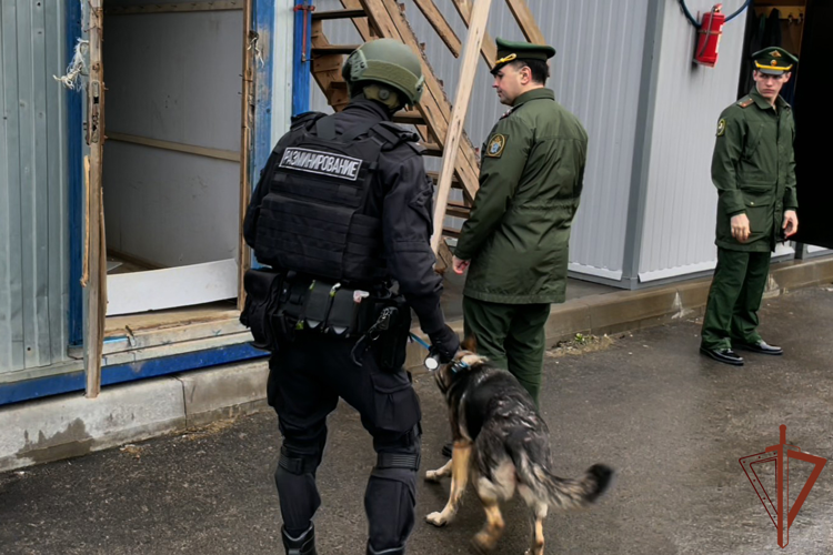 При содействии ОМОН Росгвардии в Санкт-Петербурге проведен профилактический рейд (видео)