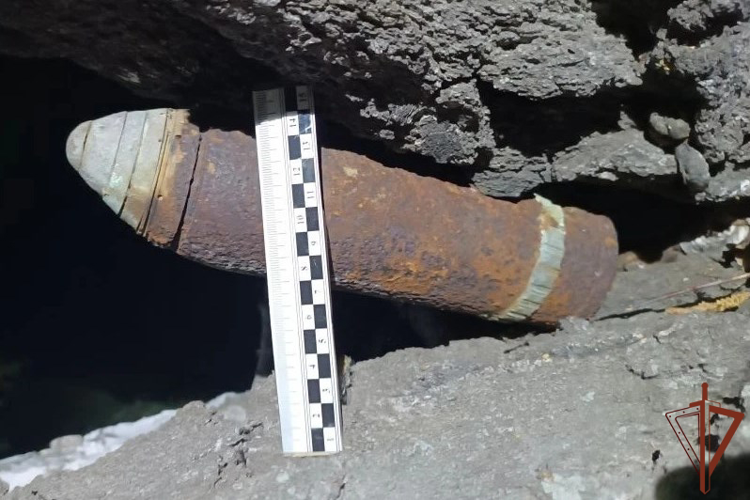 В Зауралье с начала мая взрывотехники Росгвардии уничтожили несколько боеприпасов времен Гражданской войны