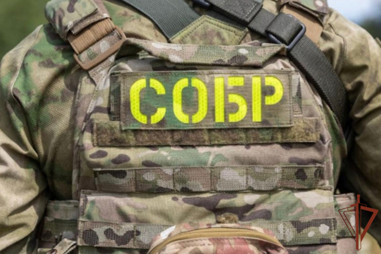 При содействии Росгвардии в Дагестане задержаны подозреваемые в незаконном культивировании наркосодержащих растений