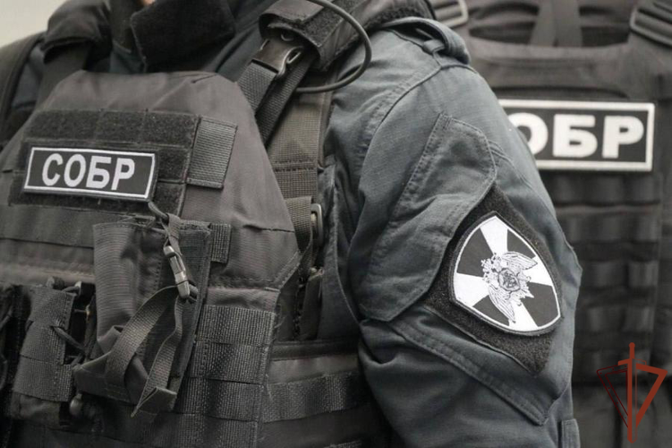 В Вологодской области при содействии СОБР «Дружина» Росгвардии изъята из незаконного оборота крупная партия синтетического наркотика