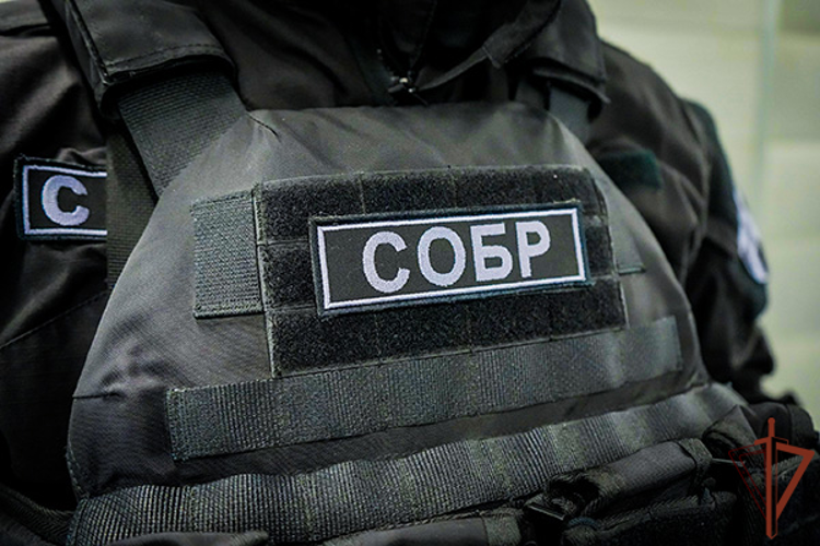 В Подмосковье при силовой поддержке спецназа Росгвардии задержан подозреваемый в незаконном хранении арсенала оружия и боеприпасов (видео)