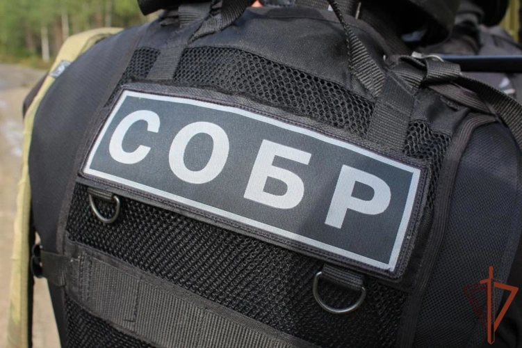 Сотрудники СОБР и ОМОН Росгвардии задержали открывшего стрельбу из окна дома в Петрозаводске