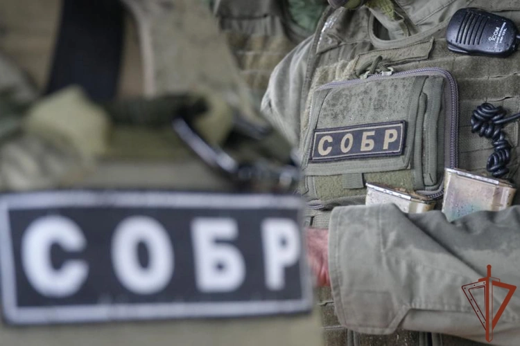 В Архангельске при участии СОБР Росгвардии задержан обвиняемый в неправомерном доступе к компьютерной информации (видео)