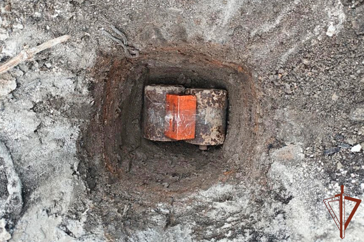 В Краснодарском крае росгвардейцы уничтожили две немецкие выпрыгивающие мины времен Великой Отечественной войны