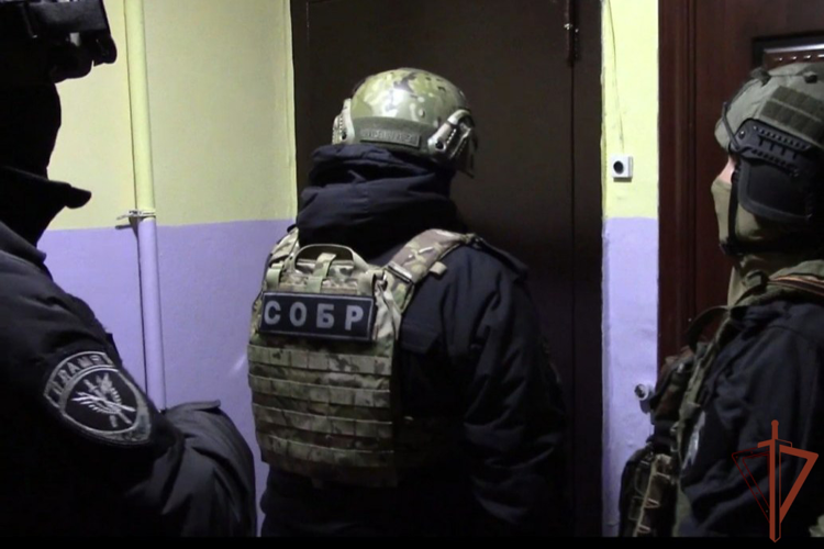 При силовой поддержке спецназа Росгвардии задержана организованная группа, промышлявшая мошенничеством в сфере страхования в Ульяновске (видео)