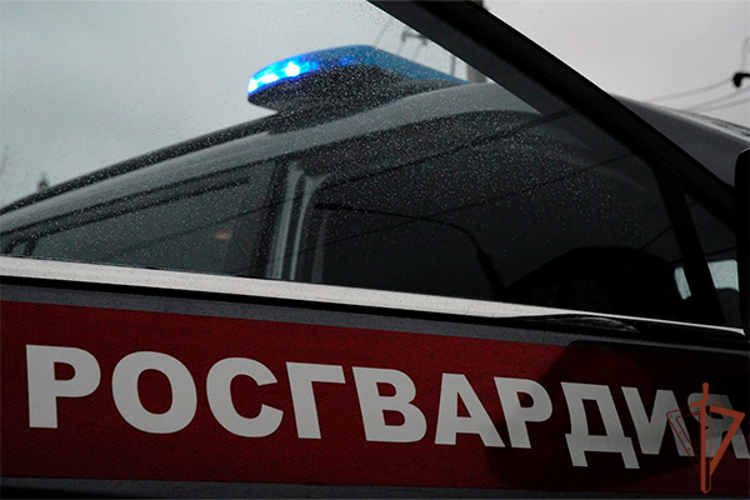В Москве росгвардейцы помогли подростку, пострадавшему в ДТП (видео)