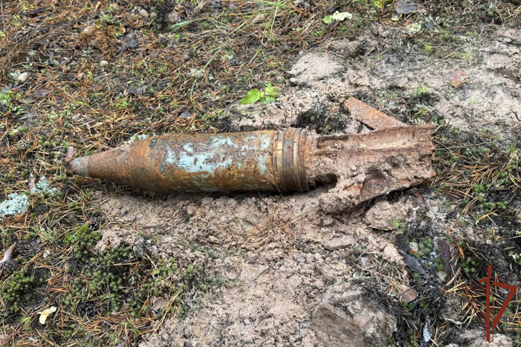 Взрывотехники ОМОН Росгвардии обезвредили артиллерийский снаряд со следами коррозии в Иркутской области
