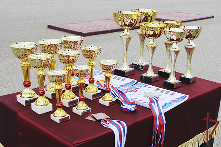 Завершился чемпионат Северо-Кавказского округа Росгвардии по летнему офицерскому троеборью