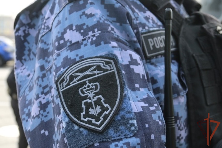 Сотрудники Росгвардии вызвали экстренные службы и оказали помощь пострадавшим в массовом ДТП в Санкт-Петербурге