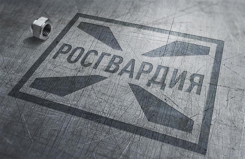 В Тамбовской области сотрудники Росгвардии задержали подозреваемых в краже металлолома