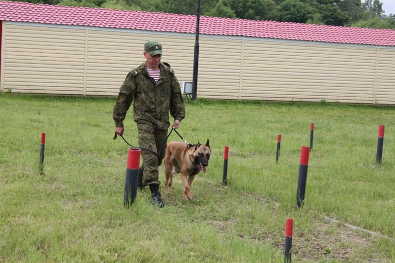 В Хабаровске прошел чемпионат Восточного округа Росгвардии по многоборью кинологов