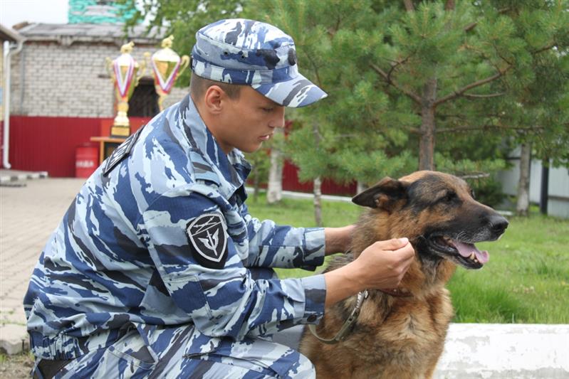 В Хабаровске прошел чемпионат Восточного округа Росгвардии по многоборью кинологов