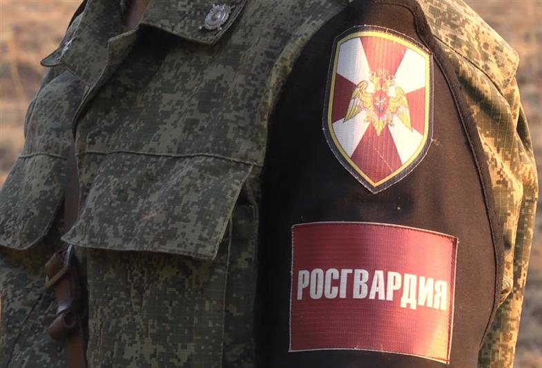 К поискам пропавшего в Нижегородской области ребенка подключились росгвардейцы