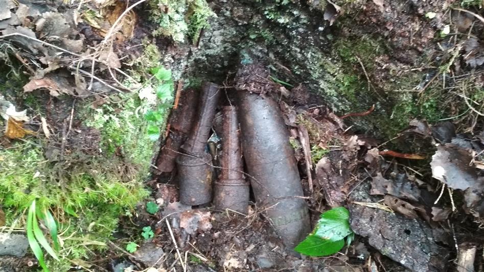 В Вологодской области сотрудники ОМОН обследовали и уничтожили боеприпасы времен Великой Отечественной войны