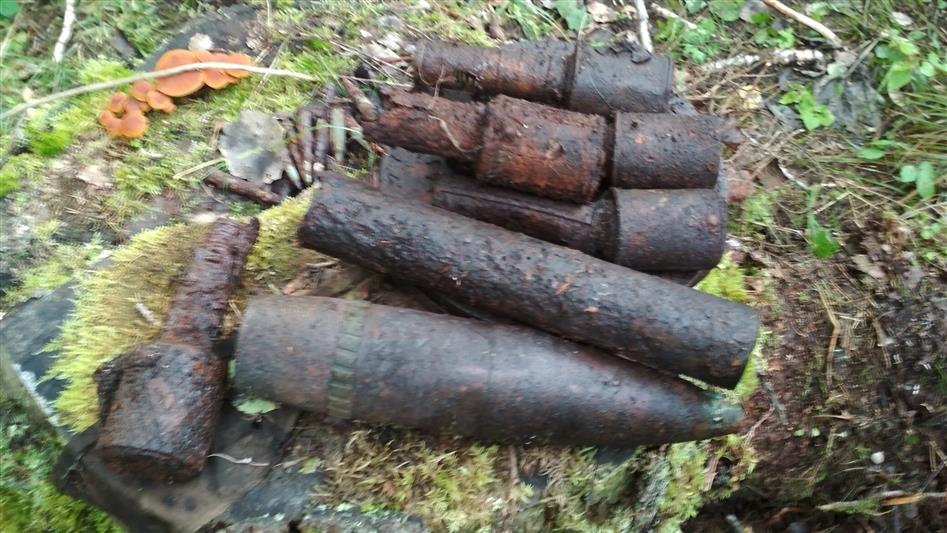 В Вологодской области сотрудники ОМОН обследовали и уничтожили боеприпасы времен Великой Отечественной войны