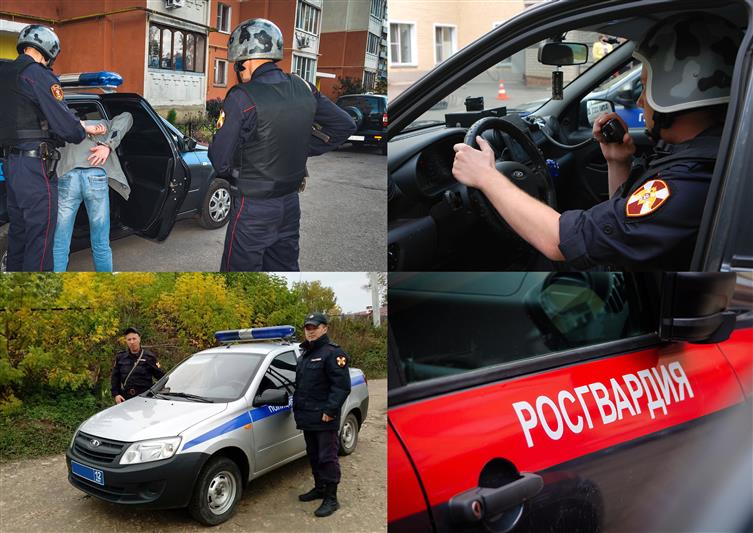 В Приволжье сотрудники Росгвардии предотвратили кражу с охраняемого объекта, задержали грабителя и дебошира