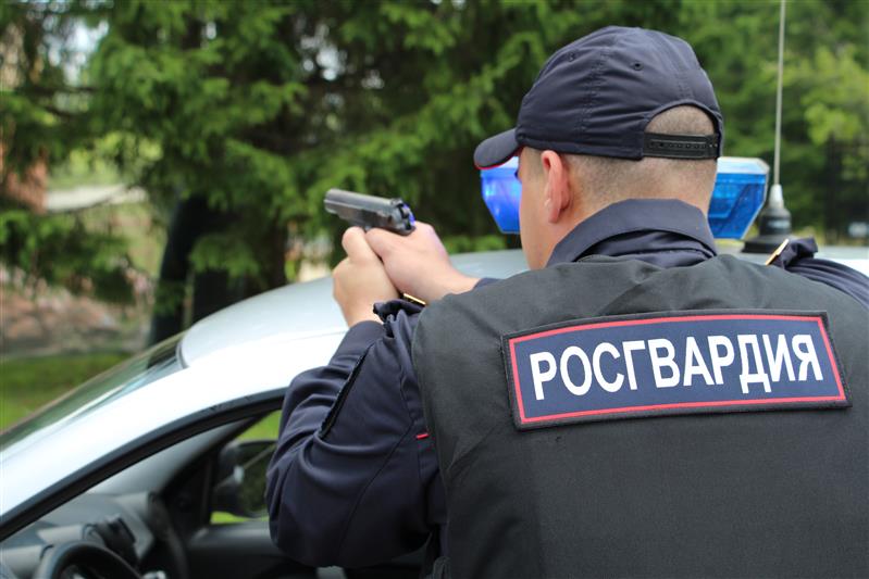 В Подмосковье росгвардейцы задержали вооружённого нетрезвого водителя 