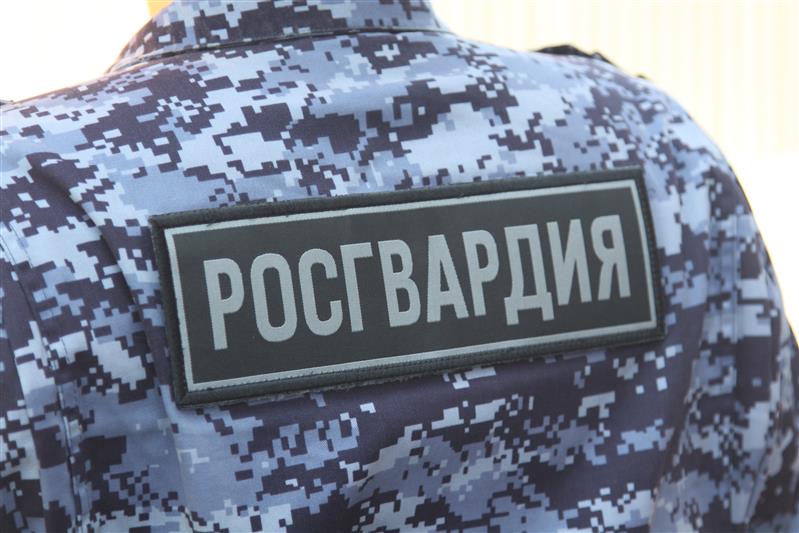 В Подмосковье сотрудники Росгвардии задержали восьмерых подозреваемых в кражах из охраняемых магазинов
