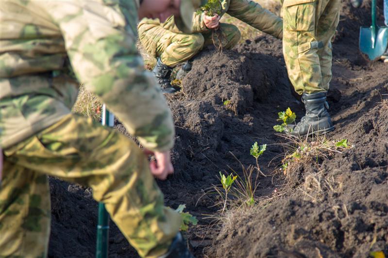 Росгвардия поддержала акцию памяти «Зеленая Дубрава» на Куликовом поле