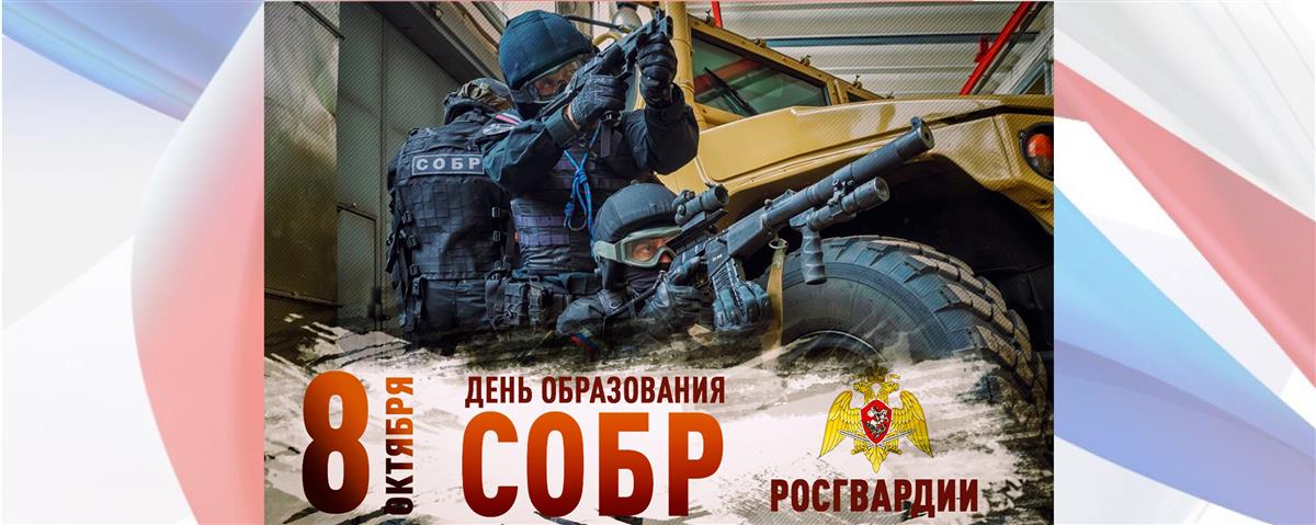 Директор Росгвардии генерал армии Виктор Золотов поздравил личный состав и ветеранов спецподразделений с Днем СОБР