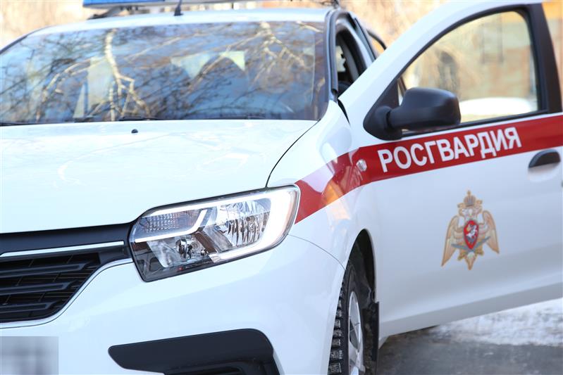 В Челябинской области сотрудники Росгвардии  задержали нетрезвого водителя, находящегося в федеральном розыске