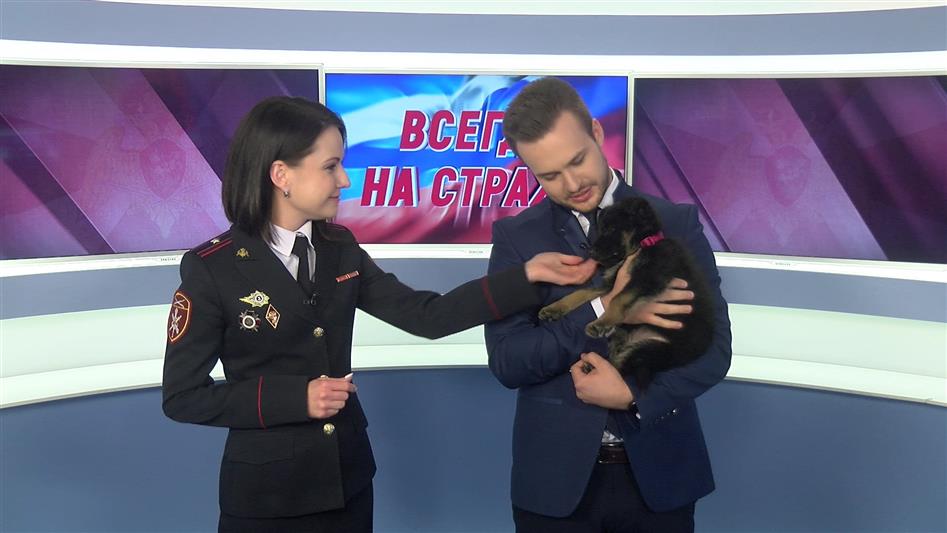В эфире Волгоградского телевидения вышел праздничный выпуск программы «Всегда на страже»