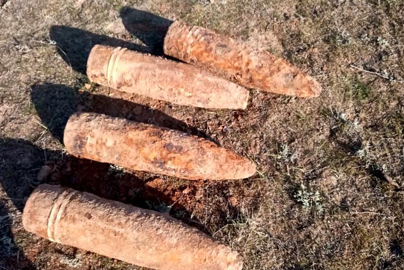 В Калмыкии сотрудники Росгвардии обследовали и уничтожили боеприпасы времен Великой Отечественной войны