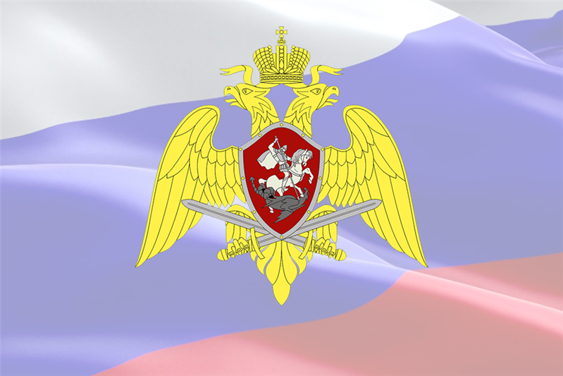 При содействии Росгвардии в Ярославле пресечена деятельность преступного сообщества