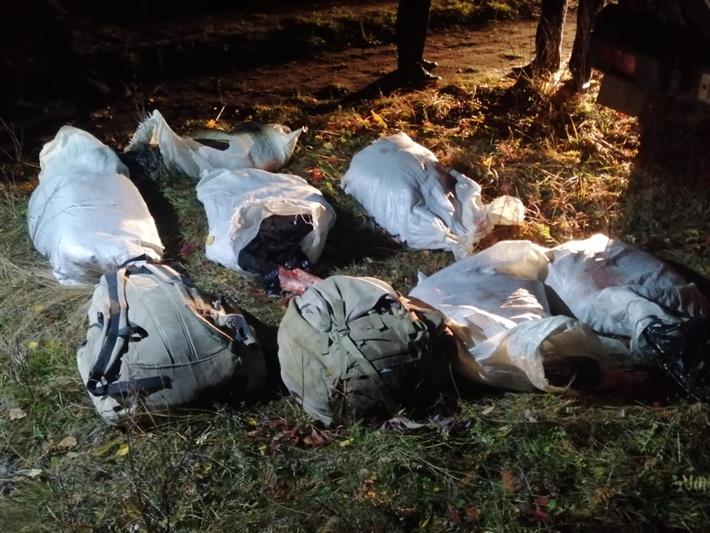 В Башкортостане росгвардейцы провели рейды, направленные на выявление и пресечение фактов браконьерства