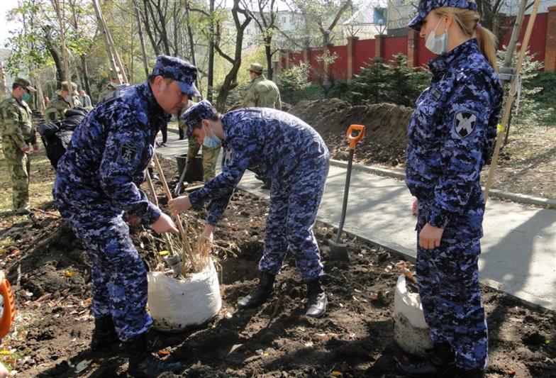  «Лес Победы» высадили росгвардейцы во Владивостоке