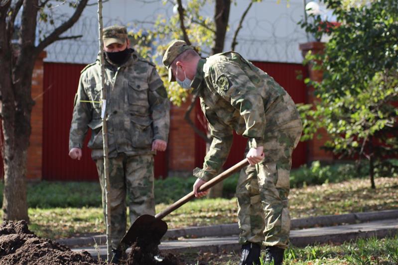  «Лес Победы» высадили росгвардейцы во Владивостоке