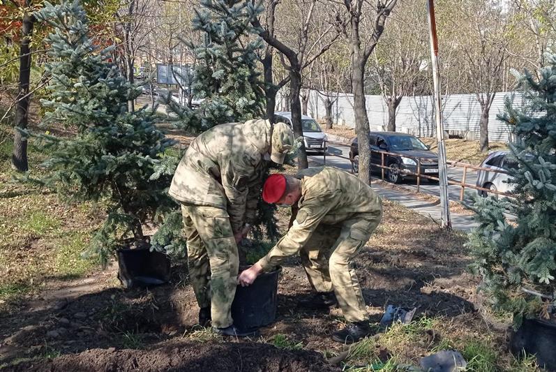 «Лес Победы» высадили росгвардейцы во Владивостоке