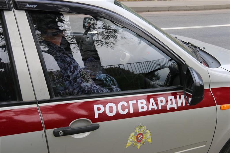 В Санкт-Петербурге сотрудниками Росгвардии пресечены правонарушения
