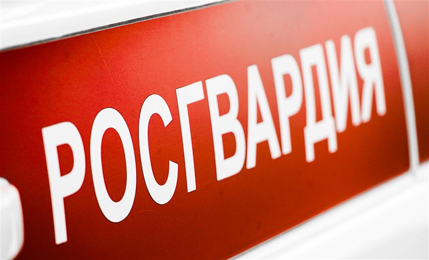 Росгвардия проводит профилактические рейды в охотугодьях Ростовской области (видео)