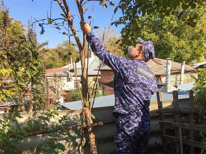 Росгвардейцы оказали помощь жительнице Кисловодска-ветерану Великой Отечественной войны 