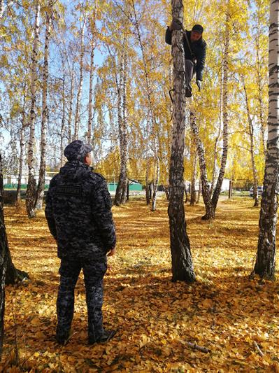 В Челябинской области сотрудники Росгвардии вернули хозяевам кота, застрявшего на дереве почти на сутки
