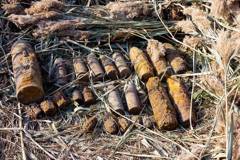 На Кубани росгвардейцы уничтожили 54 боеприпаса времен Великой Отечественной войны