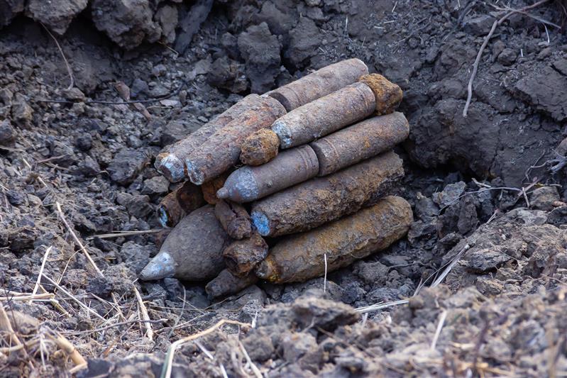 На Кубани росгвардейцы уничтожили 54 боеприпаса времен Великой Отечественной войны