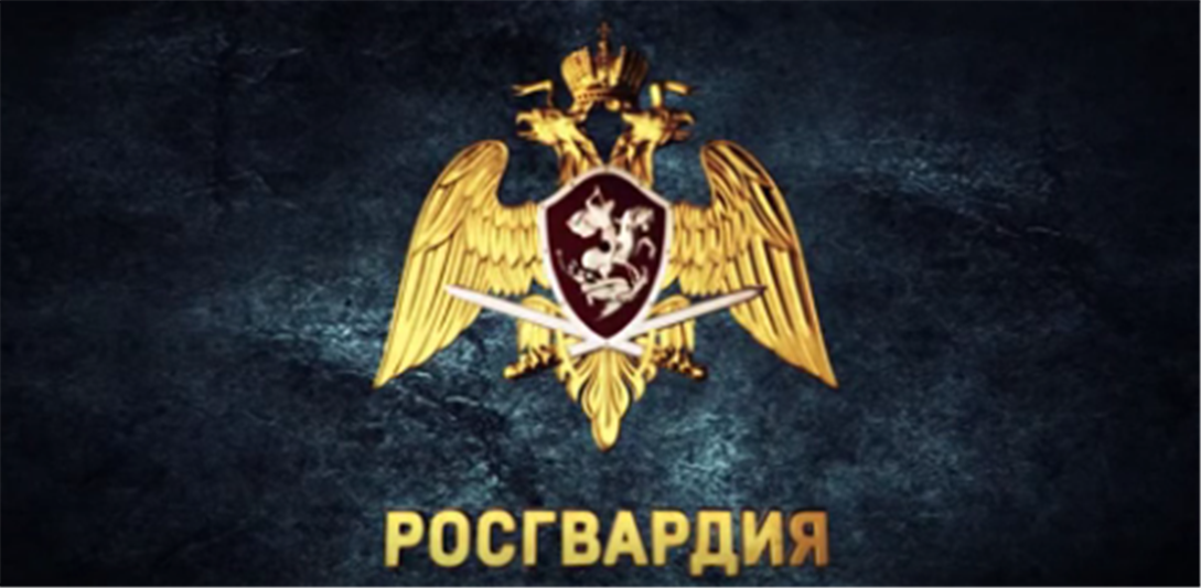 При участии Росгвардии в Дагестане обнаружен тайник с боеприпасами