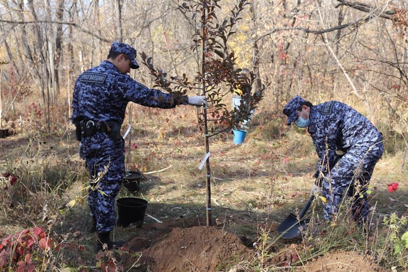 Росгвардейцы из Самары приняли участие во Всероссийской акции «Лес Победы» (видео)