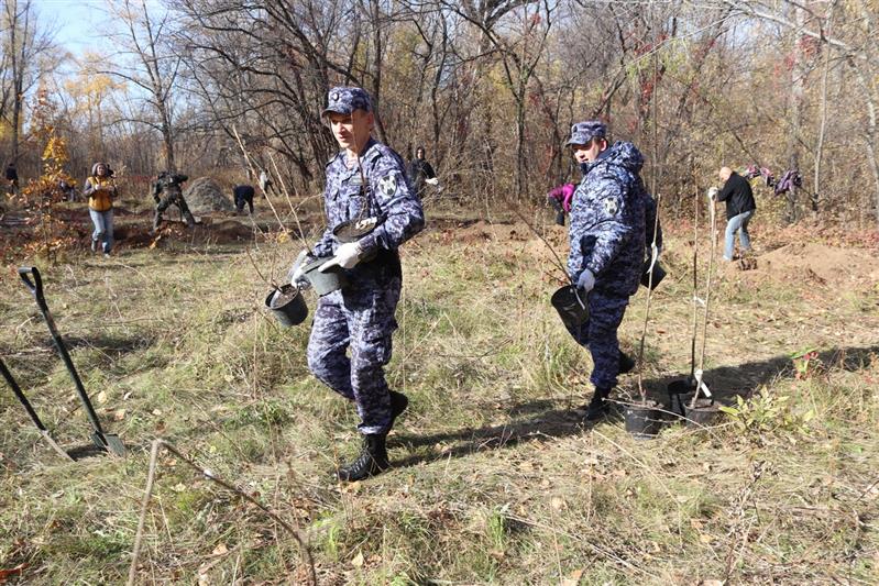 Росгвардейцы из Самары приняли участие во Всероссийской акции «Лес Победы» (видео)